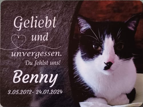 Customer photo review of Katzen Gedenktafel mit Foto & Spruch (UV- & Wetterfest)
