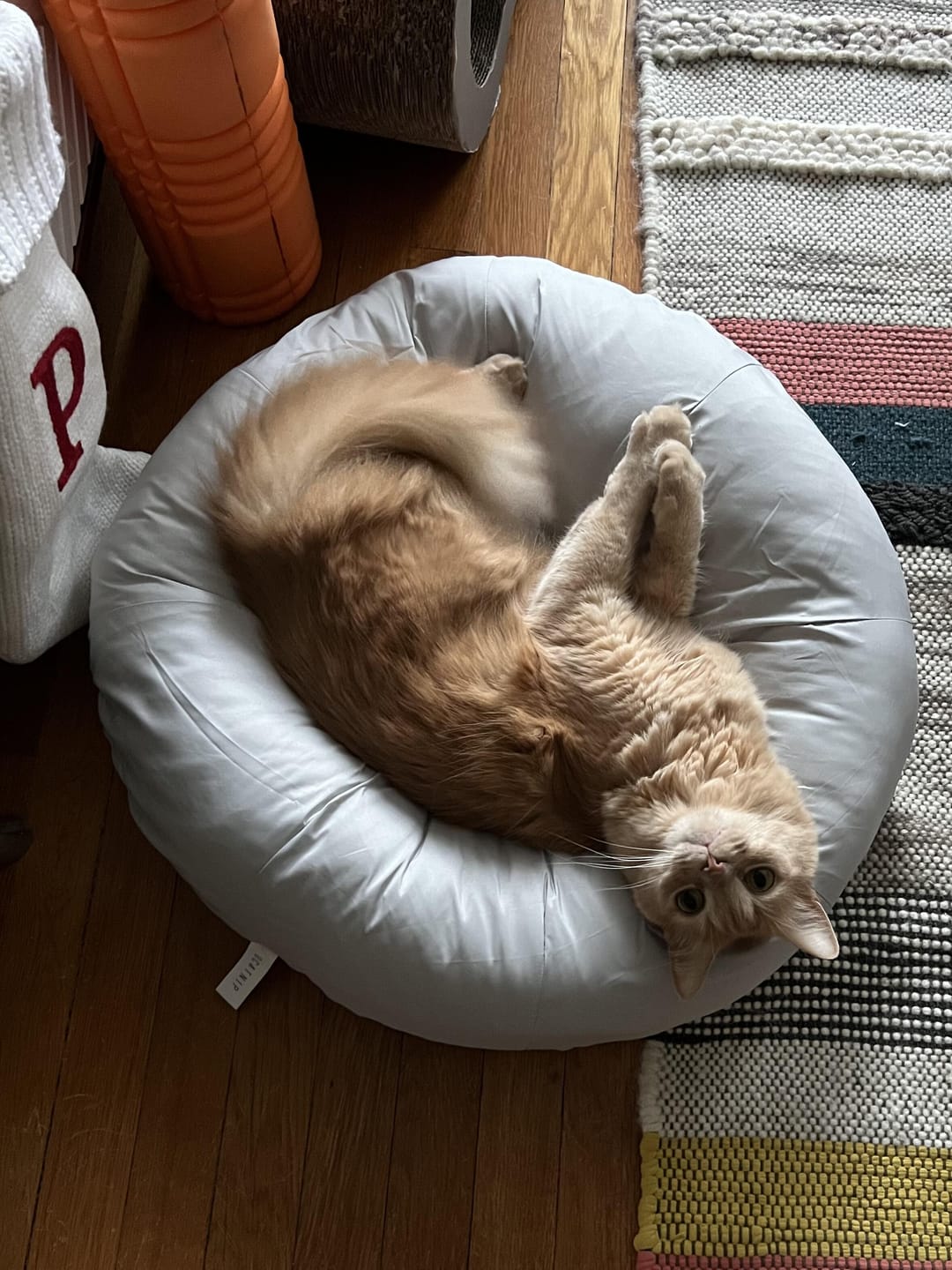 Customer photo review of Earl Grey Pudding Bed