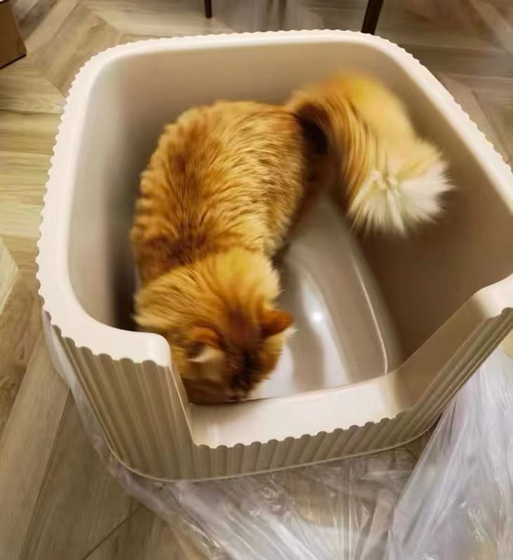 Customer photo review of Michu XXL Coral, BoBa & Sage Deluxe Cat Litter Box - Spacious Design