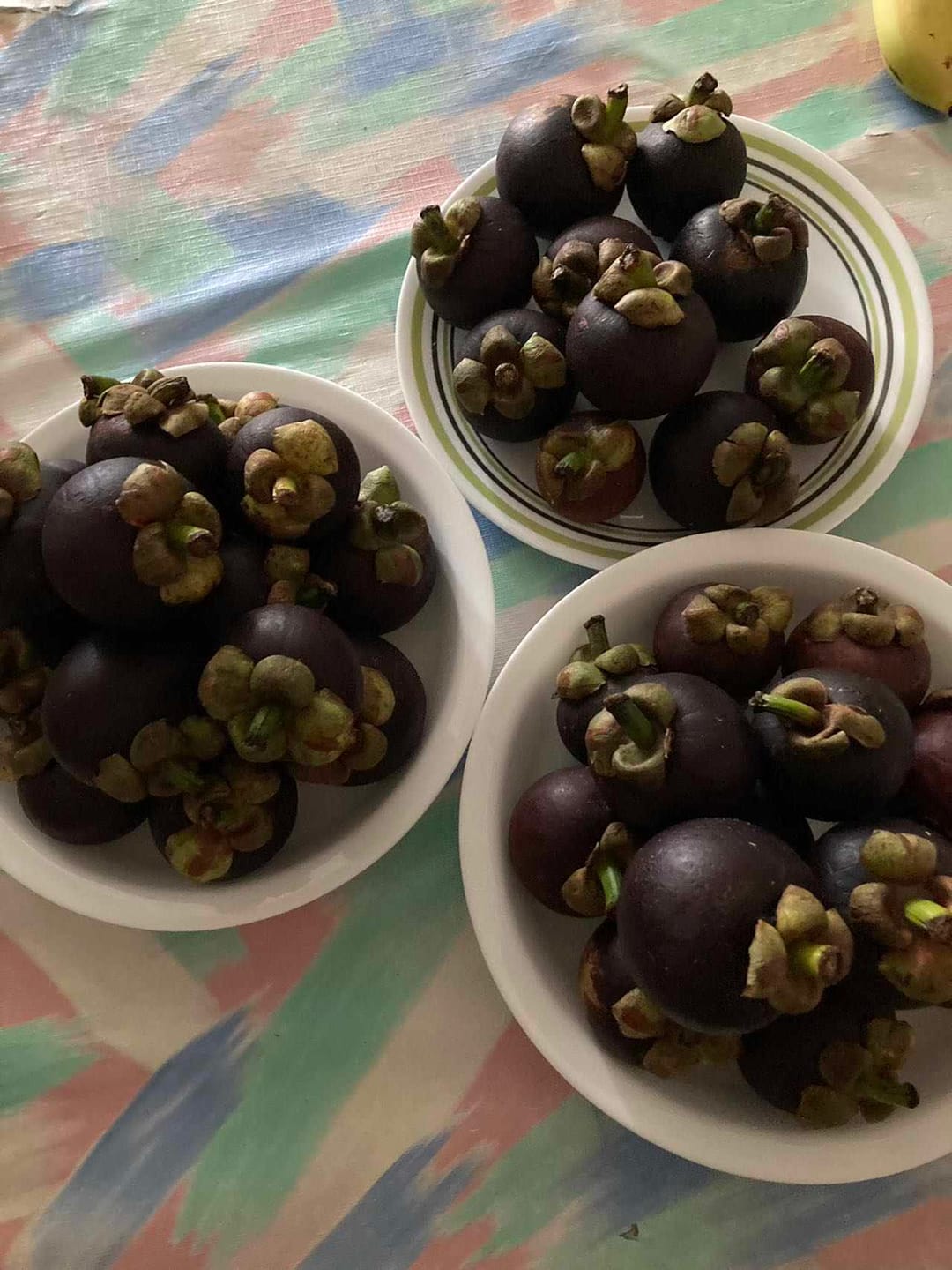 Customer photo review of Mangosteen Box *Pre-Order*