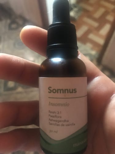 Customer photo review of Somnus (Reishi)