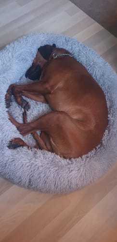 Customer photo review of CalmBed - Motverkar stress & hjälper mot ångest