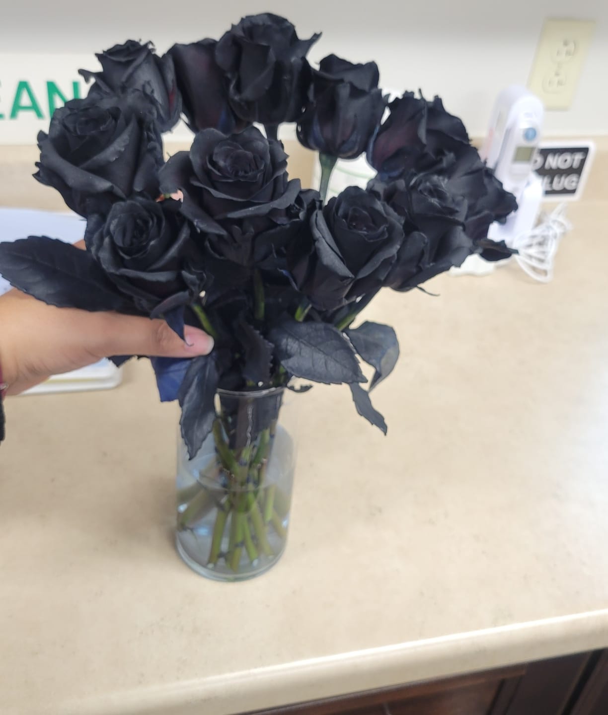Customer photo review of Black Roses
