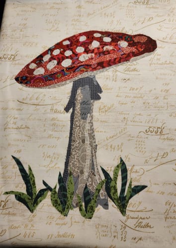 Customer photo review of Mushroom Complete Kit