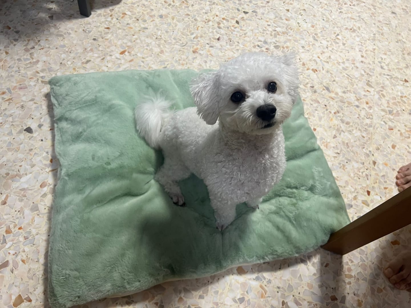 Customer photo review of Sleeping Blanket (𝗡𝗘𝗪 𝗖𝗢𝗟𝗢𝗨𝗥)