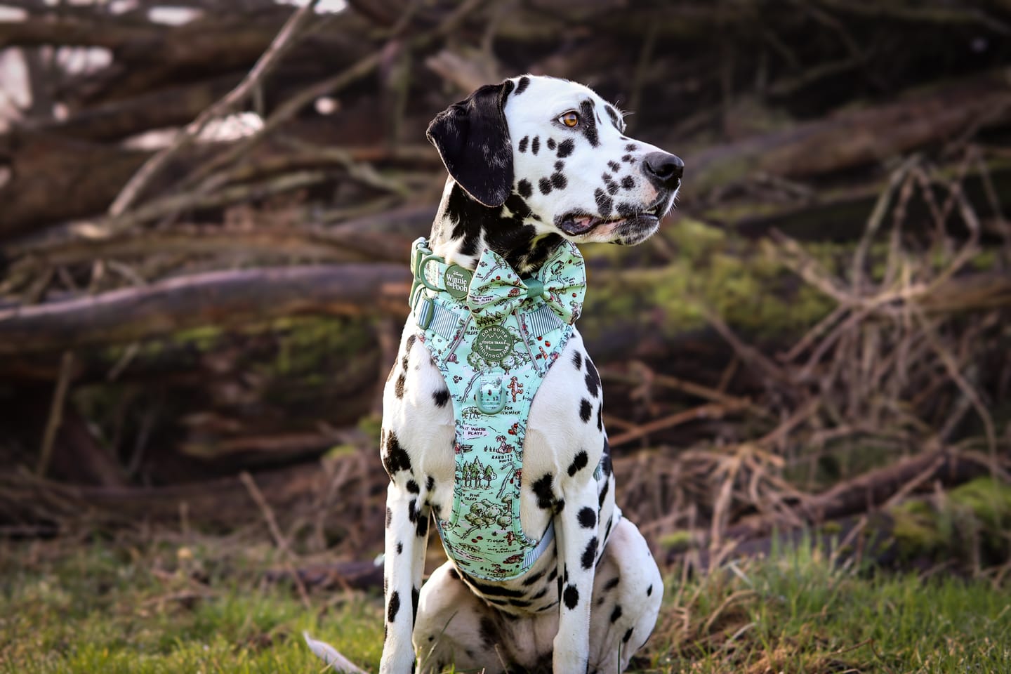 Customer photo review of Tough Trails™ Harness - 100 Aker Wood