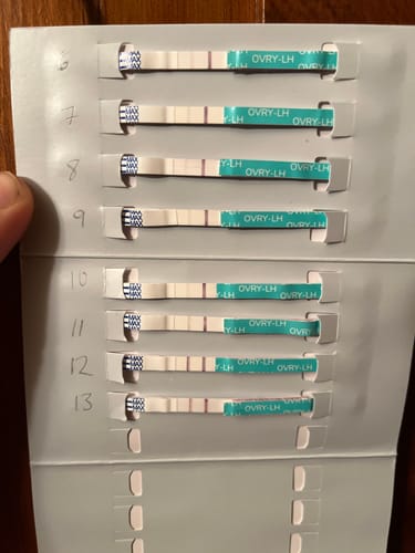 Customer photo review of Ovulation Test Strips