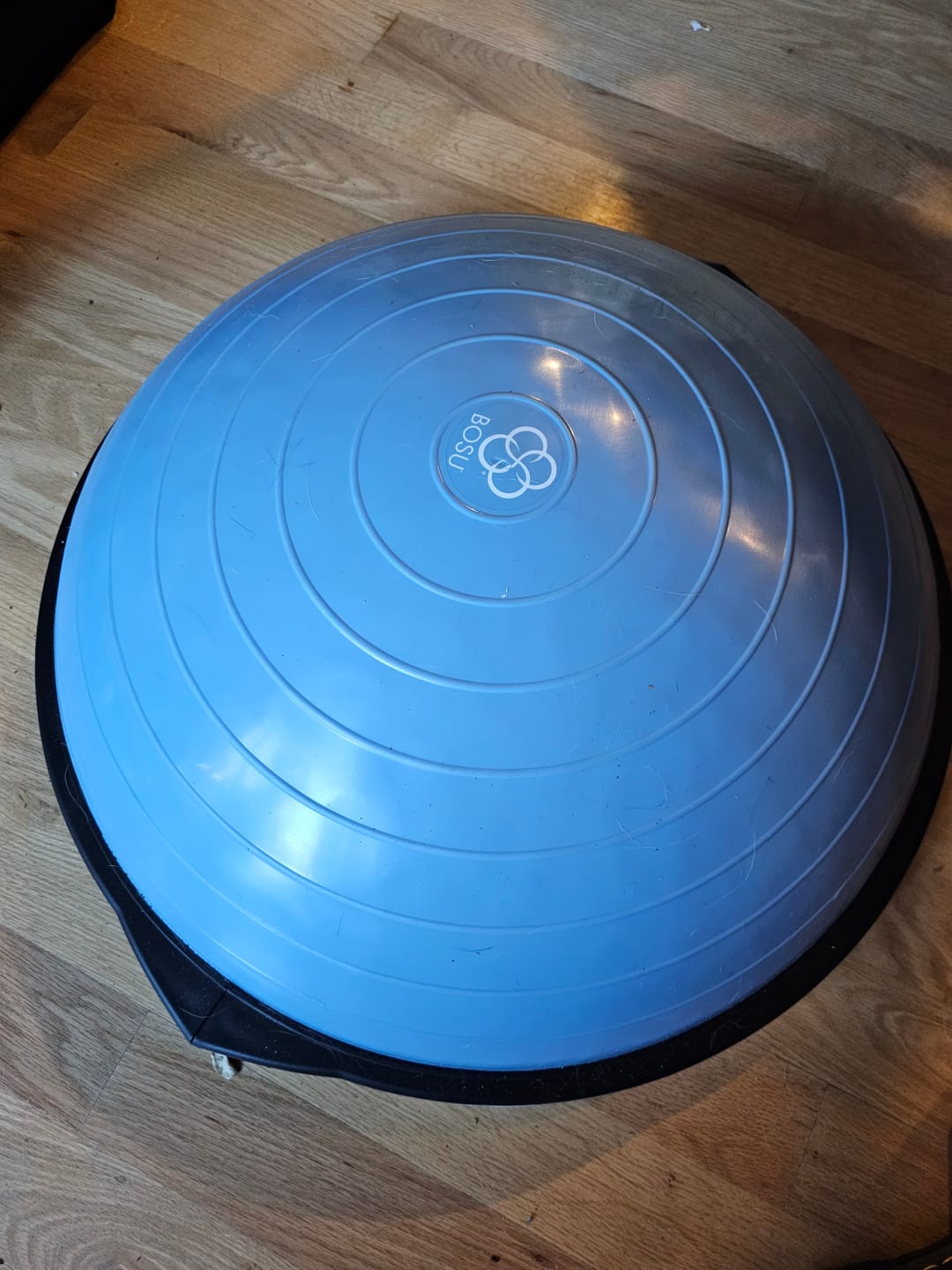 Customer photo review of BOSU® Home Balance Trainer