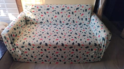 Customer photo review of Birds & Kites Elastic Sofa Slipcovers