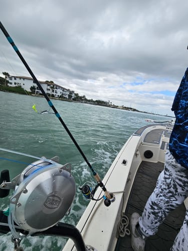 Customer photo review of 8Ft No Excuses Travel Rod with Tube Medium Action 1/2oz to 2oz