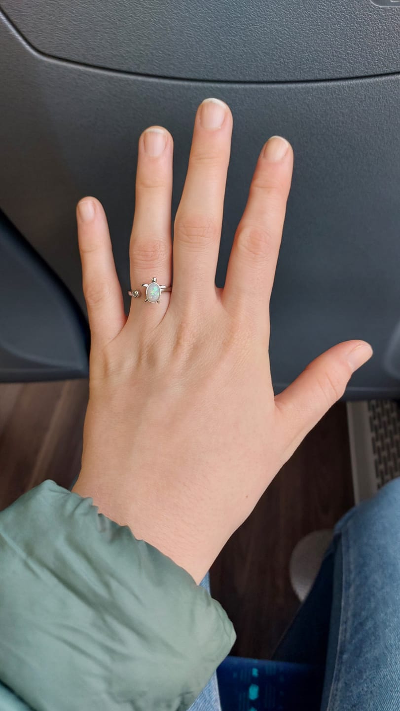 Customer photo review of silver adjustable turtle anxiety ring