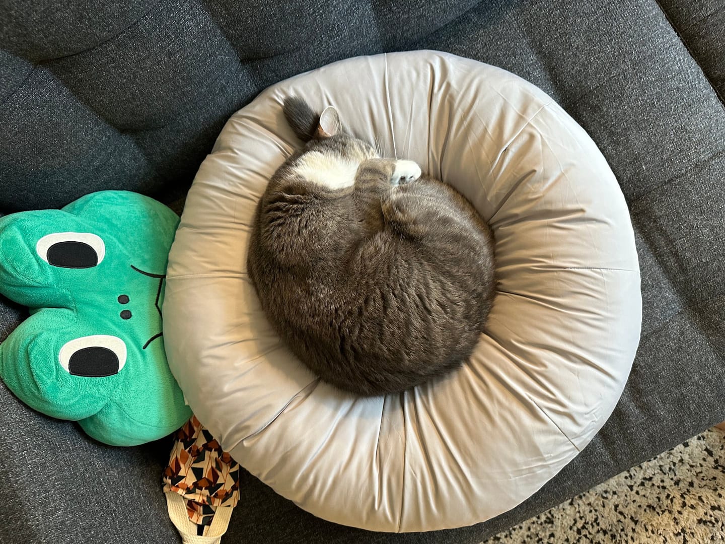 Customer photo review of Earl Grey Pudding Bed