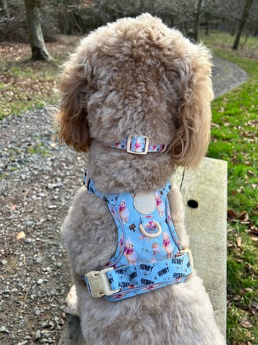 Customer photo review of Tough Trails™ Harness - Winnie The Pooh