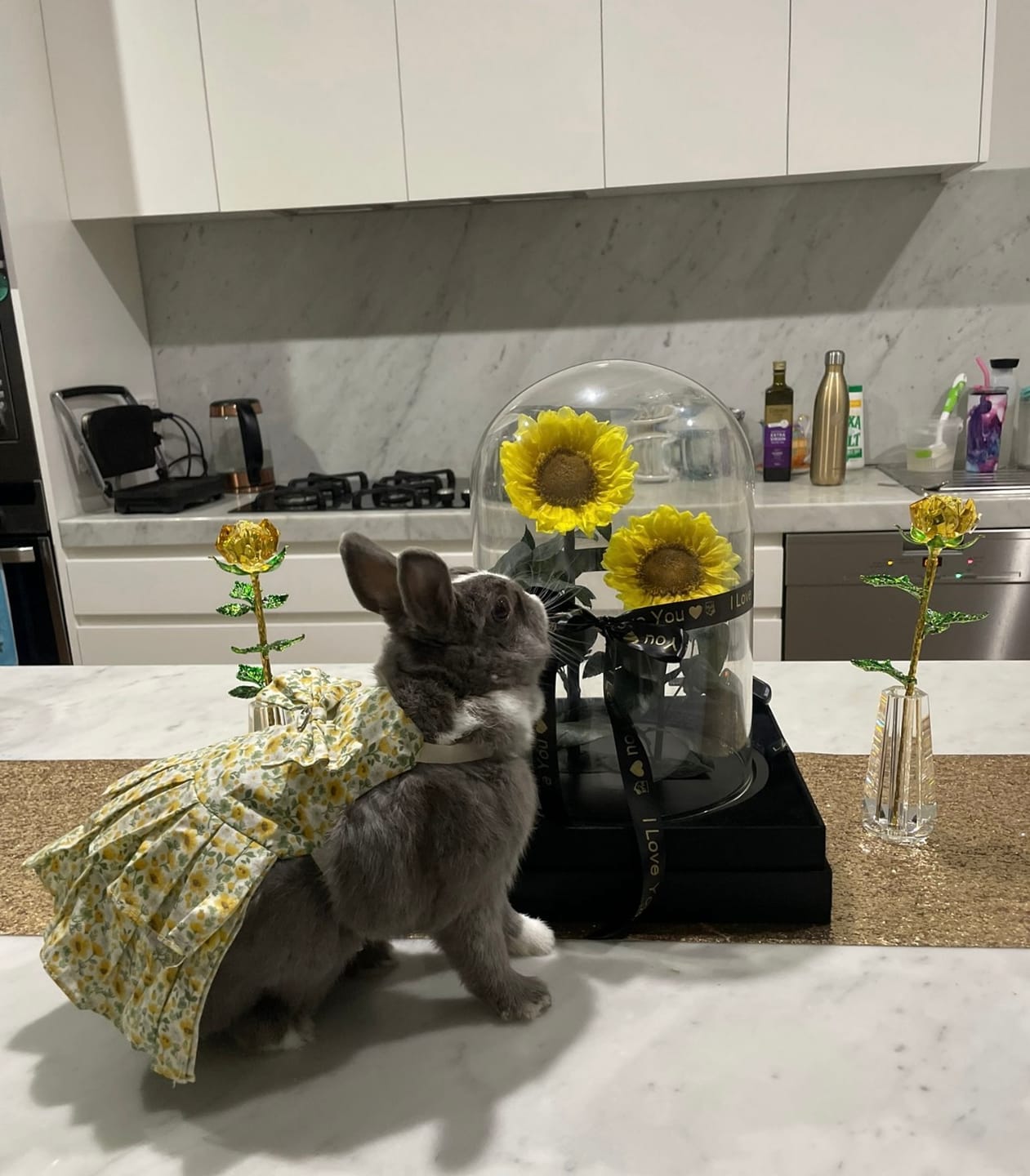 Customer photo review of A Lasting Dual Sunflower