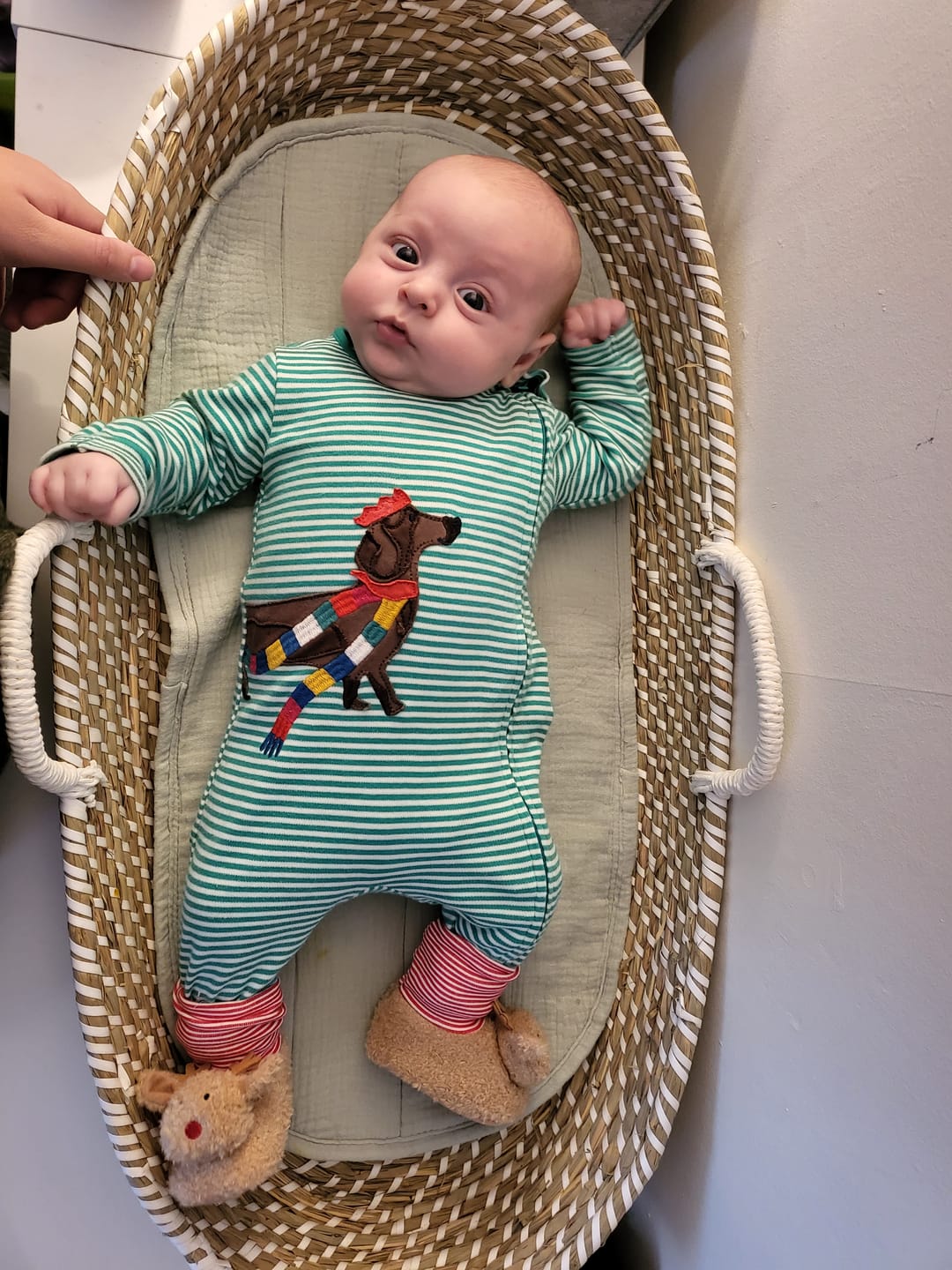 Customer photo review of Sea-Grass Baby Changing Basket