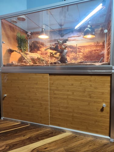 Customer photo review of 4'x2'x2' Original Wood Bearded Dragon Enclosure