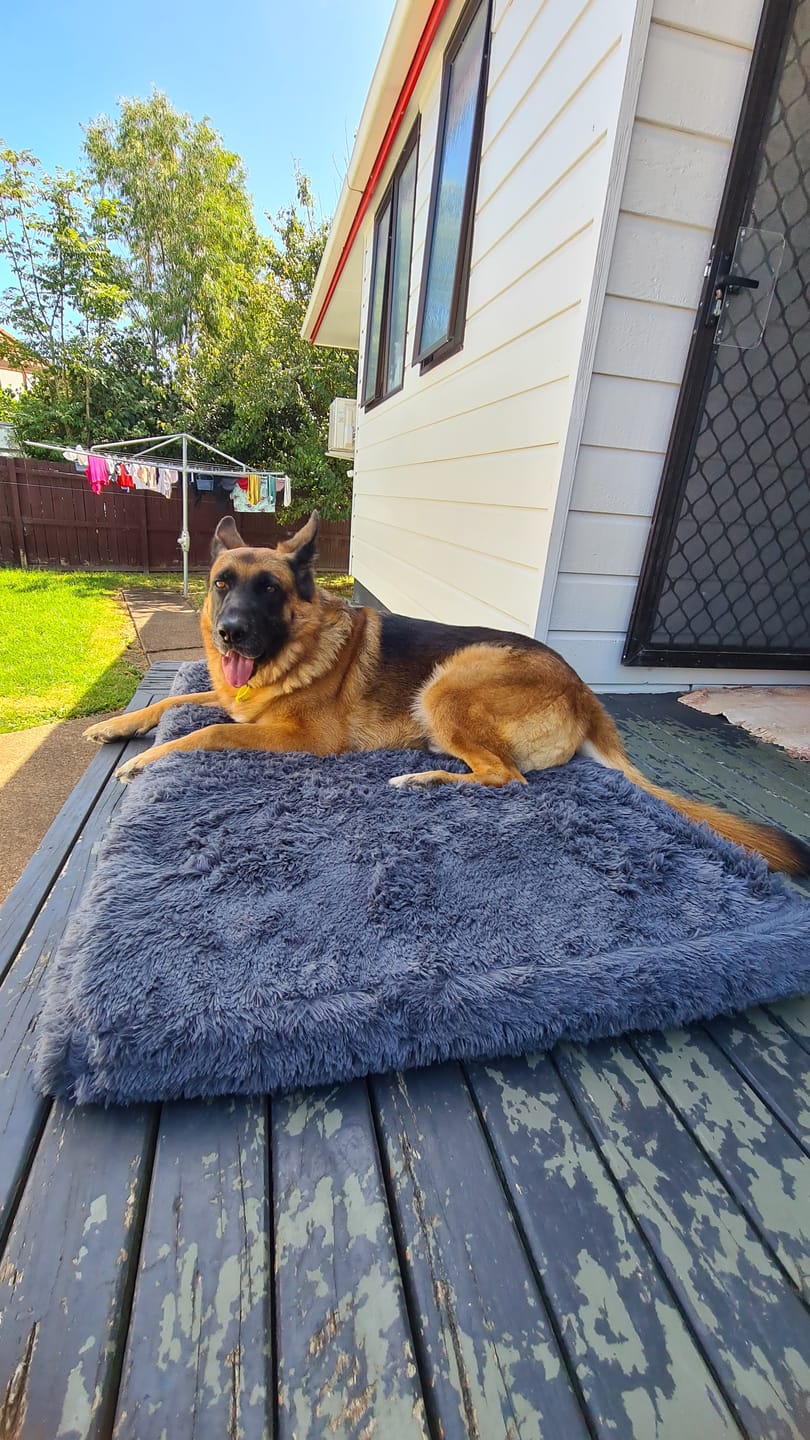 Customer photo review of Brooklyn® Ultra Memory Foam Bed