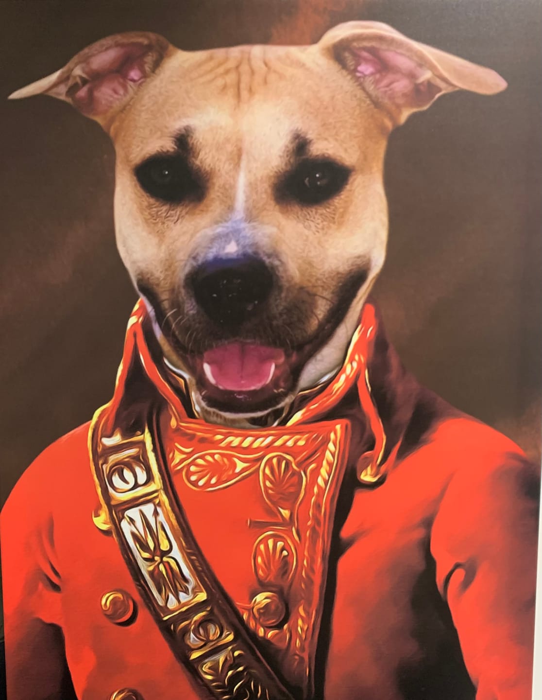 Customer photo review of Le Colonel