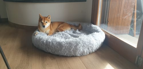 Customer photo review of Cuccia Sfoderabile Antistress Per Cani e Gatti - SuperCucciolo®