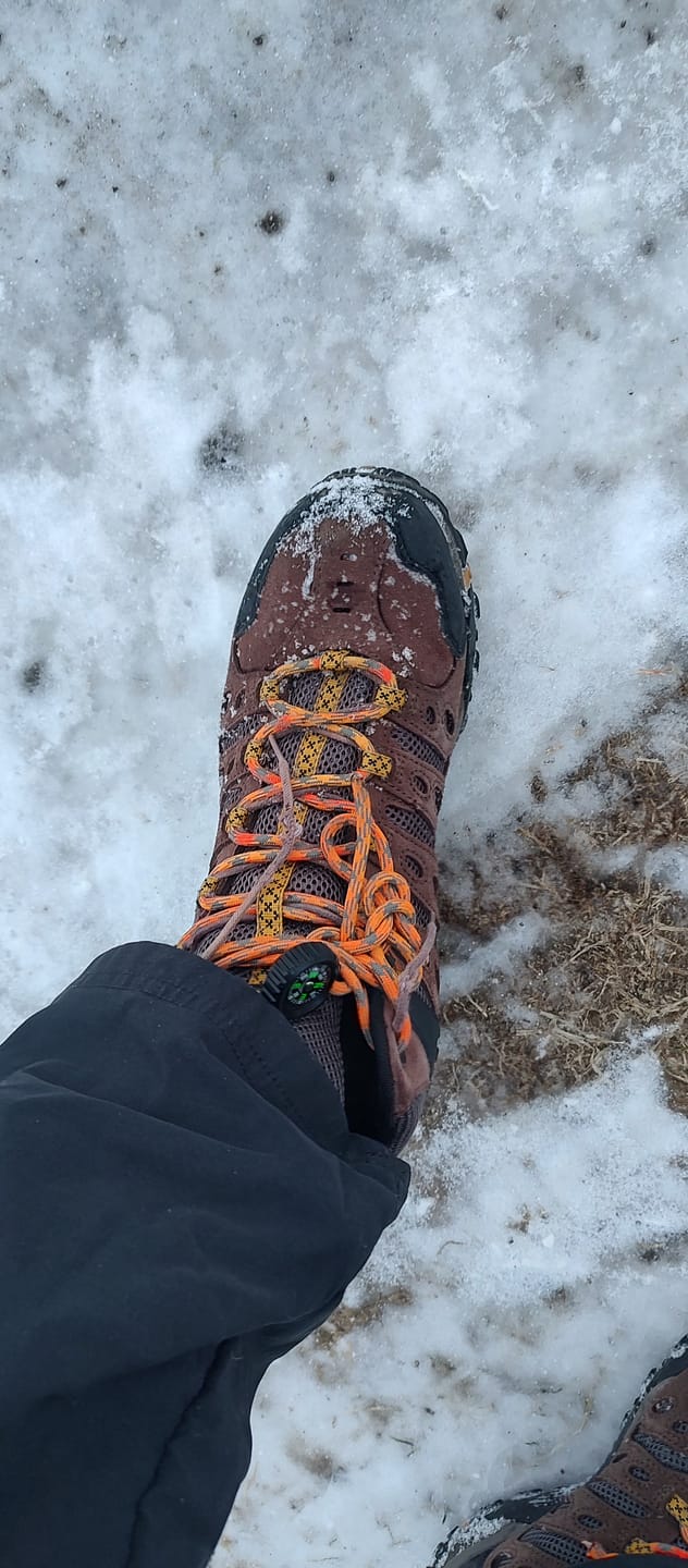 Customer photo review of COMPASS