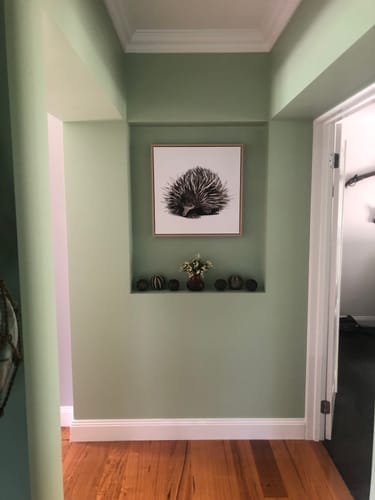 Customer photo review of The Echidna