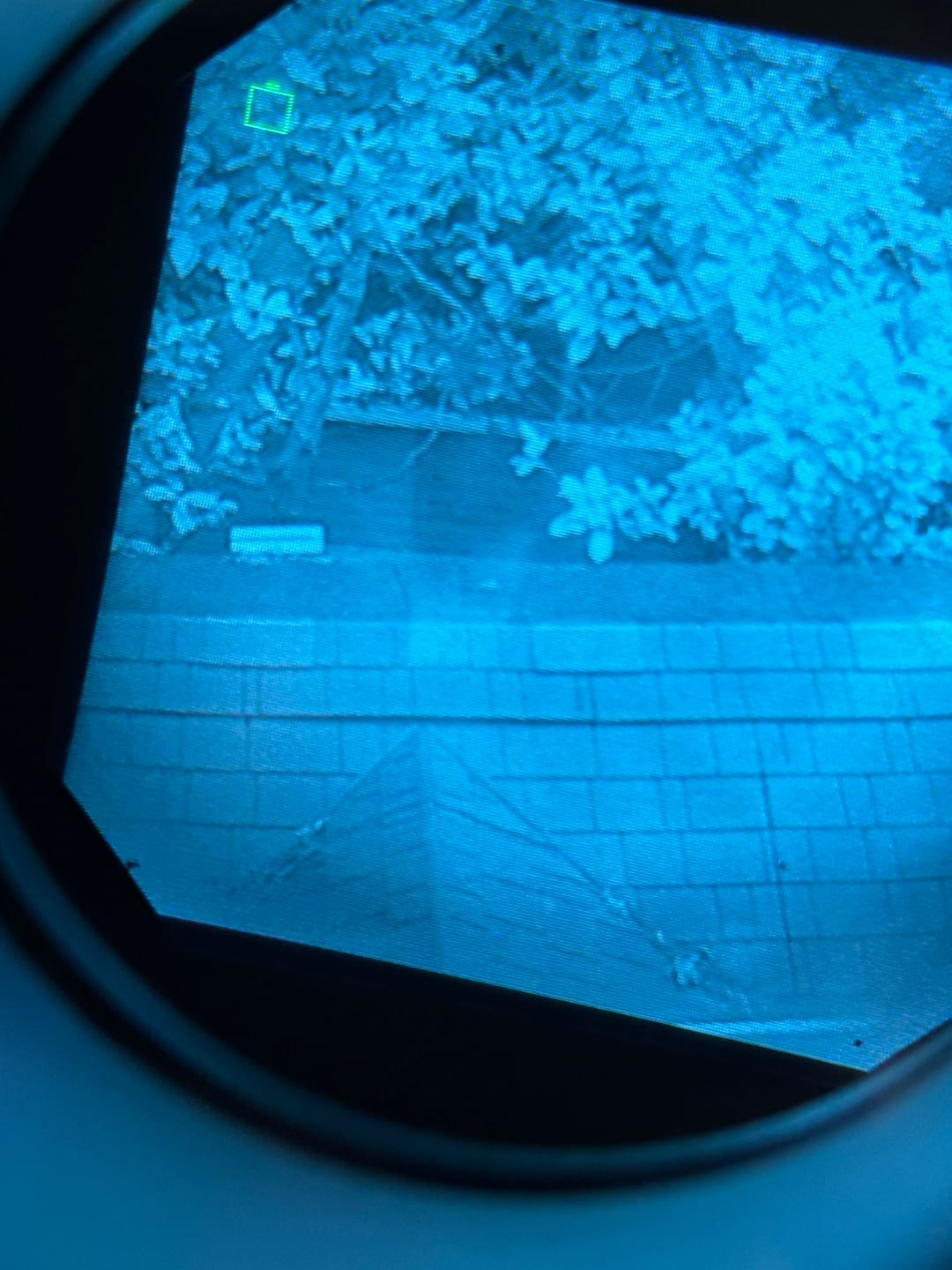 Customer photo review of Night Operators MAX 2.0 NVG