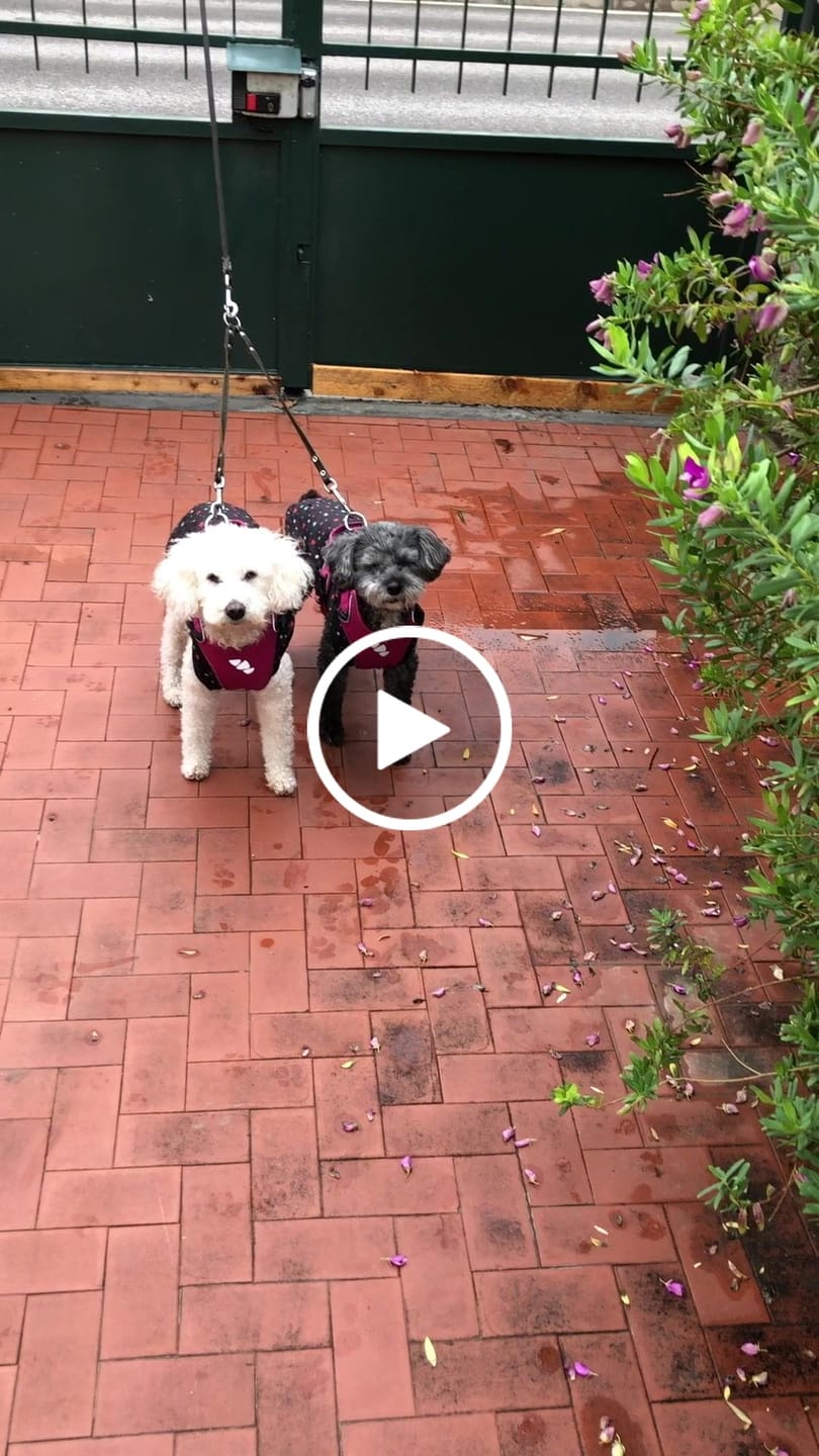 Customer video review of Power Move