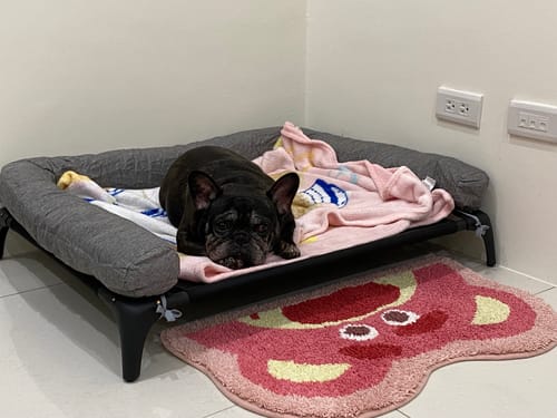 Customer photo review of DOGSONG ALPHA行軍床配件 C型圍枕頭