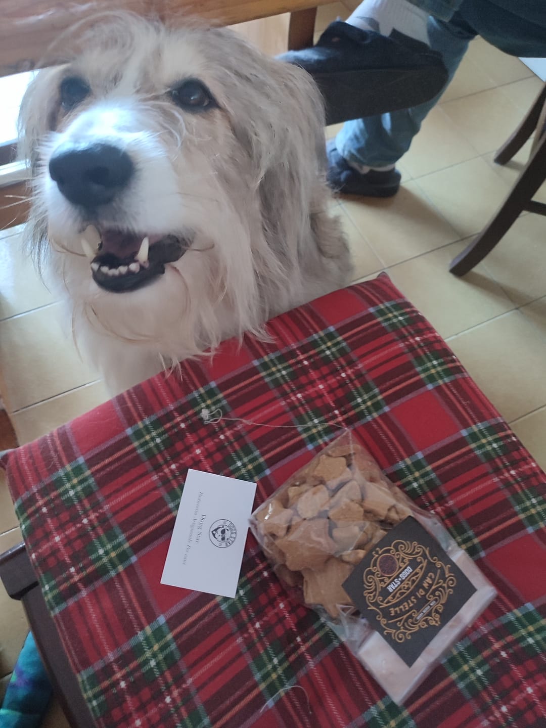 Customer photo review of Can Di Stelle | Biscotto Per Cani