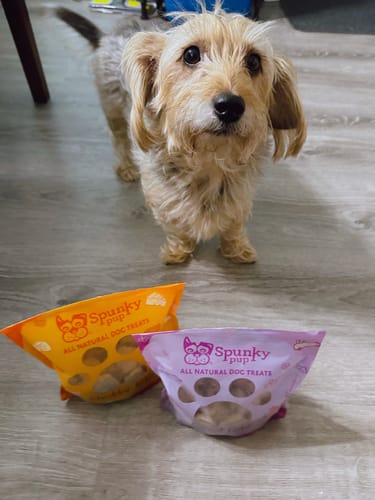 Customer photo review of All Natural Baked Biscuits - 10 oz