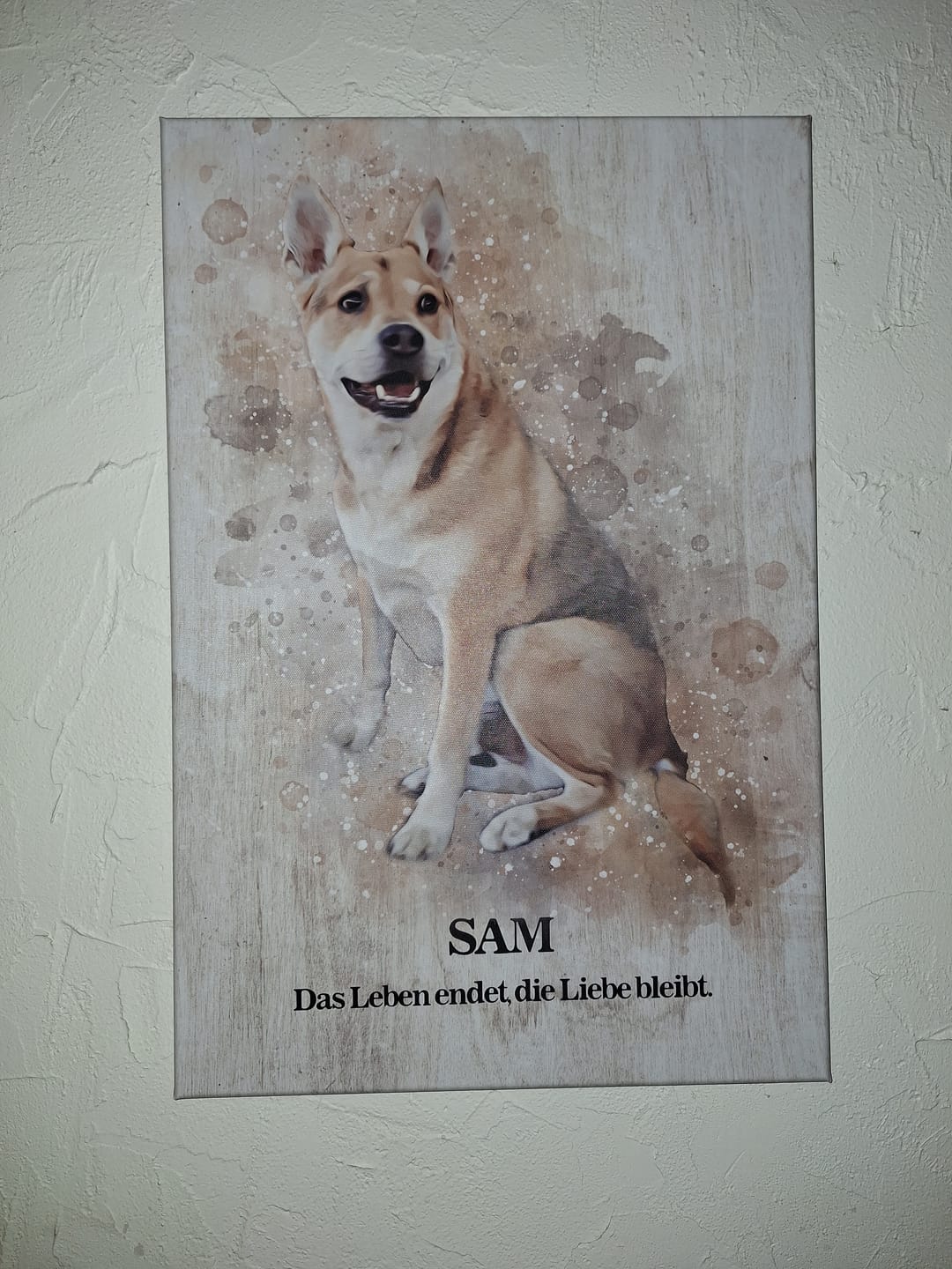 Customer photo review of Dein Hund als Aquarell Tierportrait | Geschenk für Hundebesitzer
