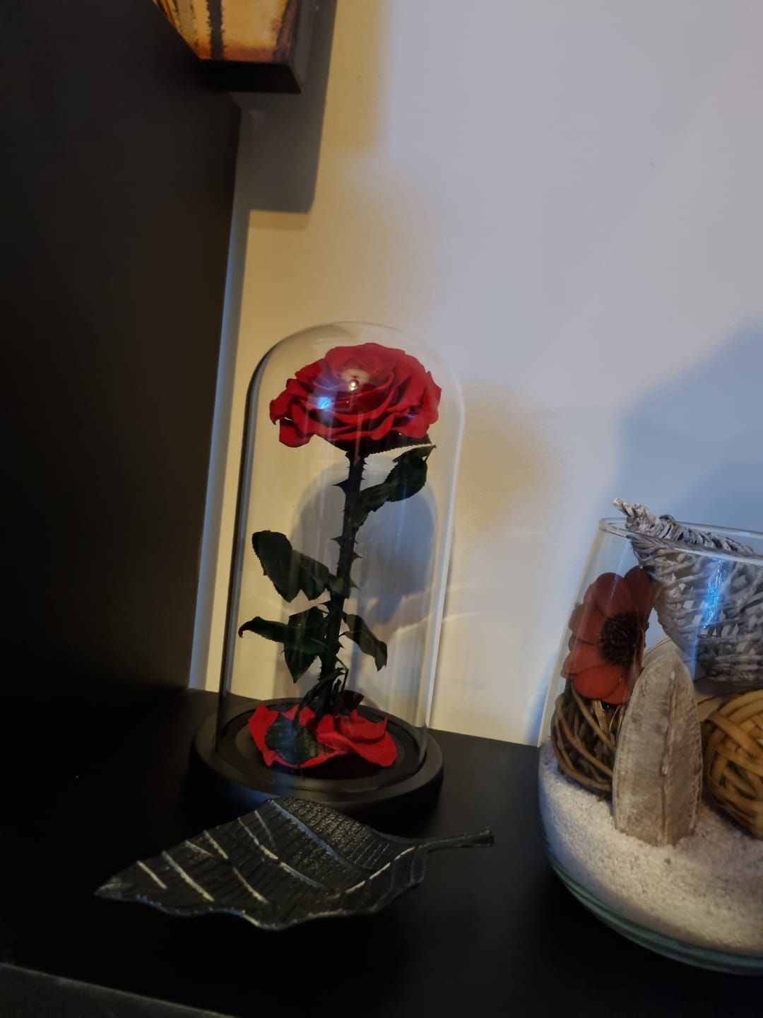 Customer photo review of Roses Éternelle Rouge sous Cloche