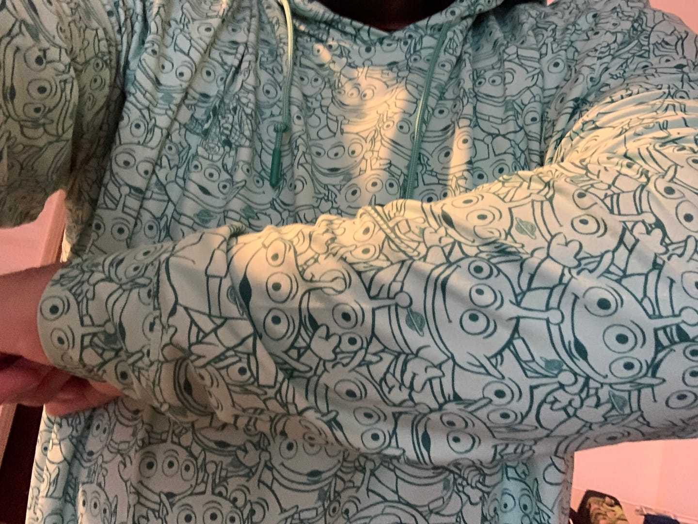 Customer photo review of Disney and Pixar Toy Story “The Crane Escape” – Performance Hoodie