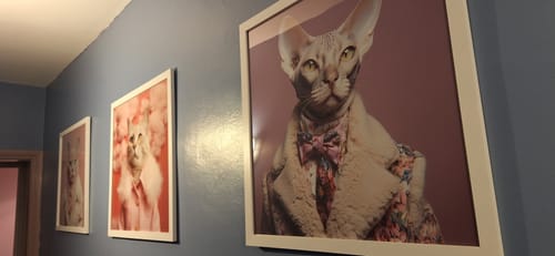 Customer photo review of Pink Cute Cat Fluffy Jacket Wall Art Poster