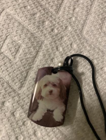 Customer photo review of Personalized Photo Urn Necklace for Pet