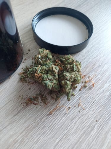 Customer photo review of Amnesia Haze - 13 % Cannabinoide (5% D9THCP)