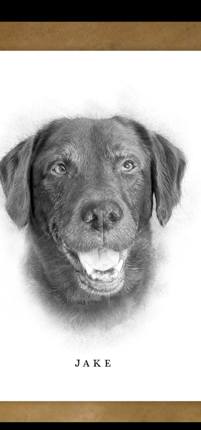 Customer photo review of Custom Pet Portrait From Your Photos – Black & White