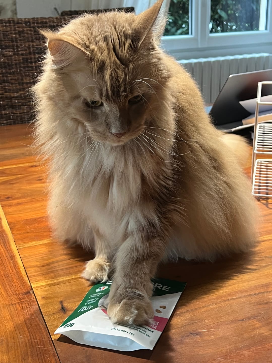 Customer photo review of Effilés au bœuf, haricots & tomates (chat stérilisé et chat adulte)