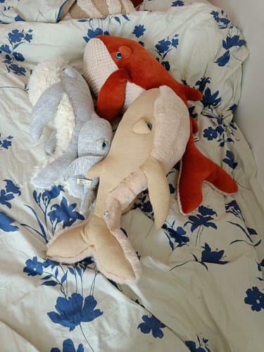 Customer photo review of The Gold Whale