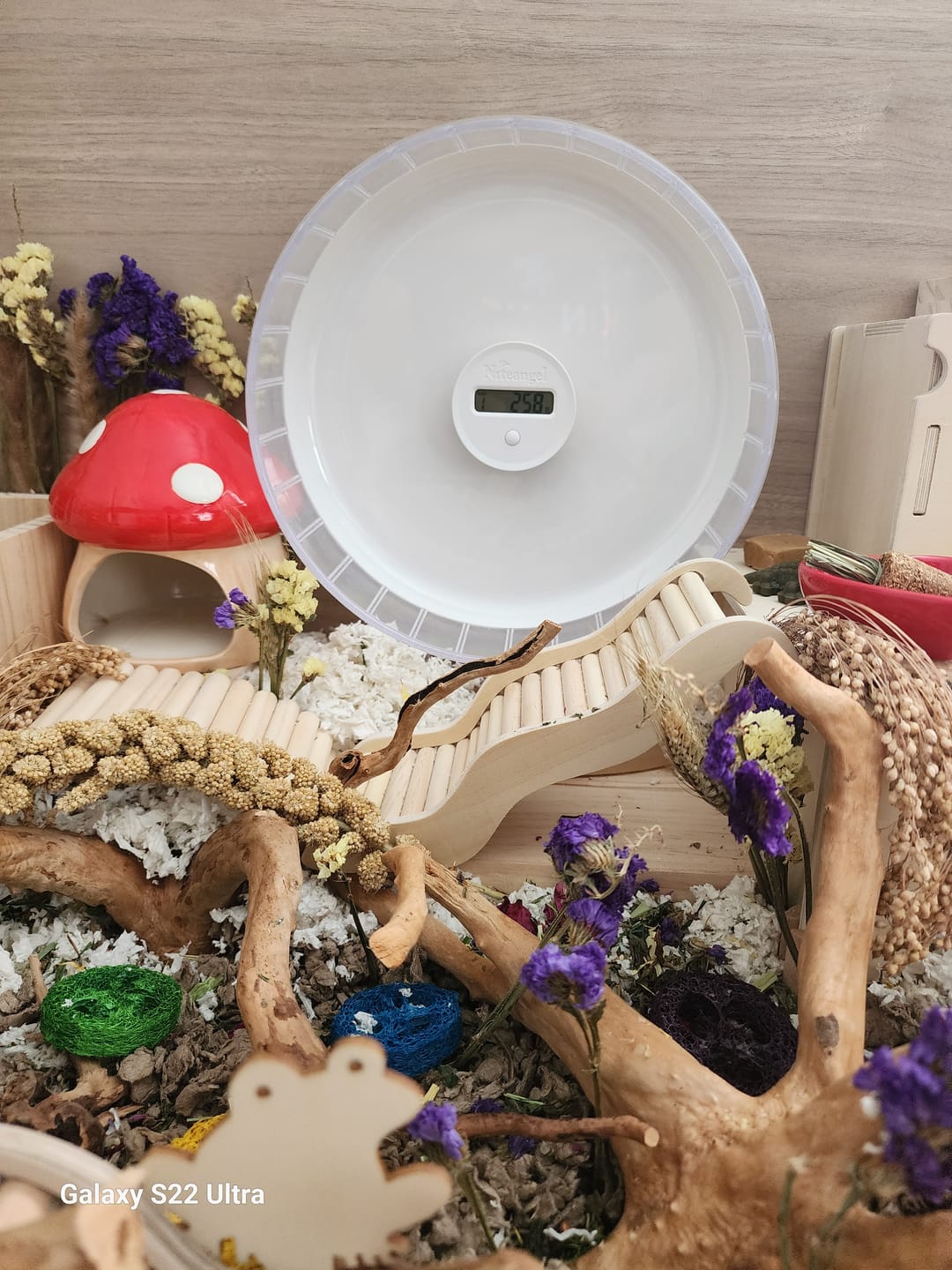 Customer photo review of Niteangel Accurately Hamster Wheel Pedometer- Small Animal Step Counter