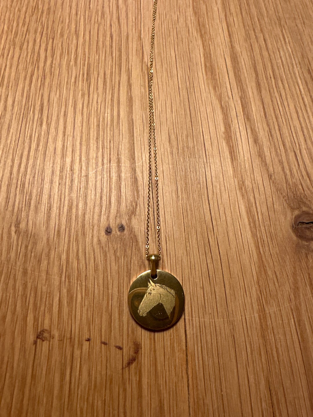 Customer photo review of Halskette mit Tierportrait und Gravur