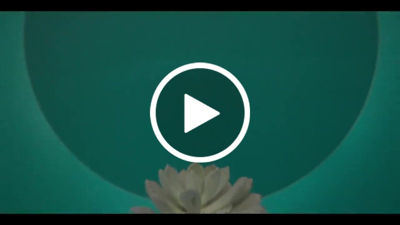 Customer video review of Bacca Bucci Essential