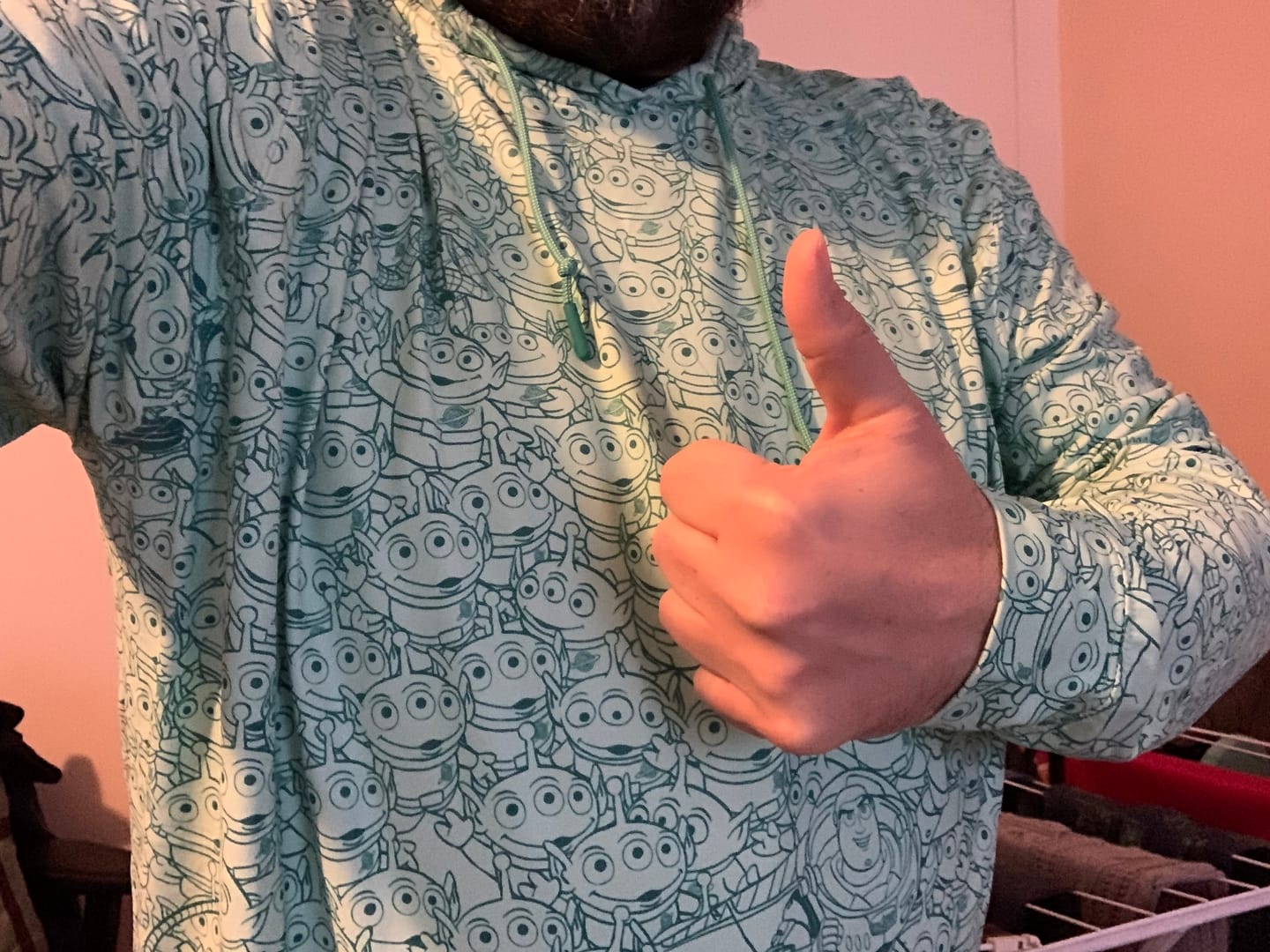 Customer photo review of Disney and Pixar Toy Story “The Crane Escape” – Performance Hoodie