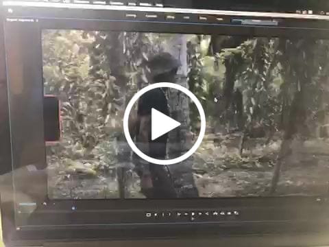 Customer video review of FILM BURNS - SAMPLE