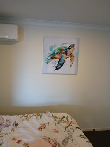 Customer photo review of Sea Turtle Spotlight