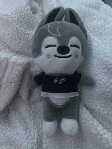Customer photo review of Stray Kids SKZOO Plushie