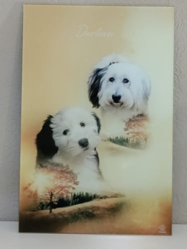 Customer photo review of Natur Pawtrait