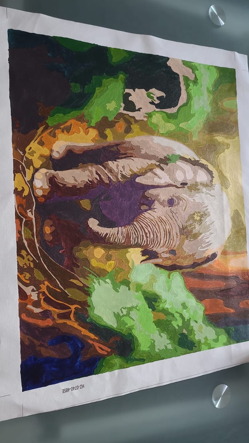 Customer photo review of Malen nach Zahlen - Kleiner Elefant im Wald