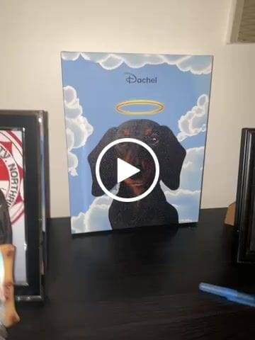 Customer video review of Custom Pet Portrait - 1 Pet