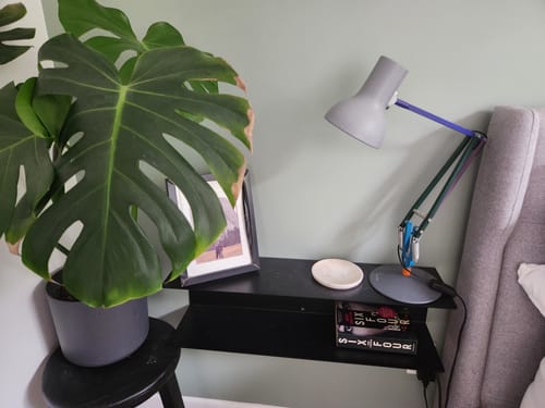 Customer photo review of FOLD Double Shelf 700